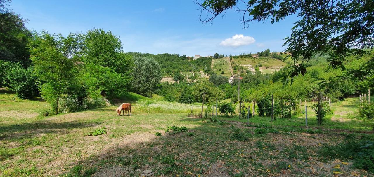 Agriturismo Il Burlino Apartments Lerma Exterior photo