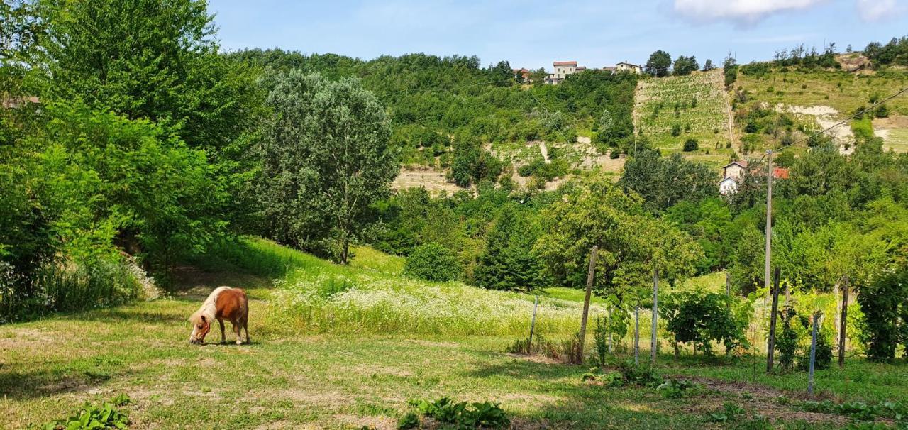 Agriturismo Il Burlino Apartments Lerma Exterior photo